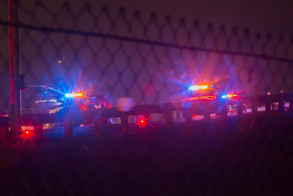 Attorney Summerville, SC Susan E. Williams